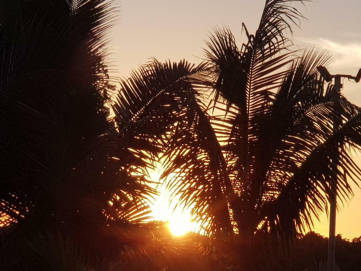 Bayview Cove Resort Nadi Eksteriør bilde